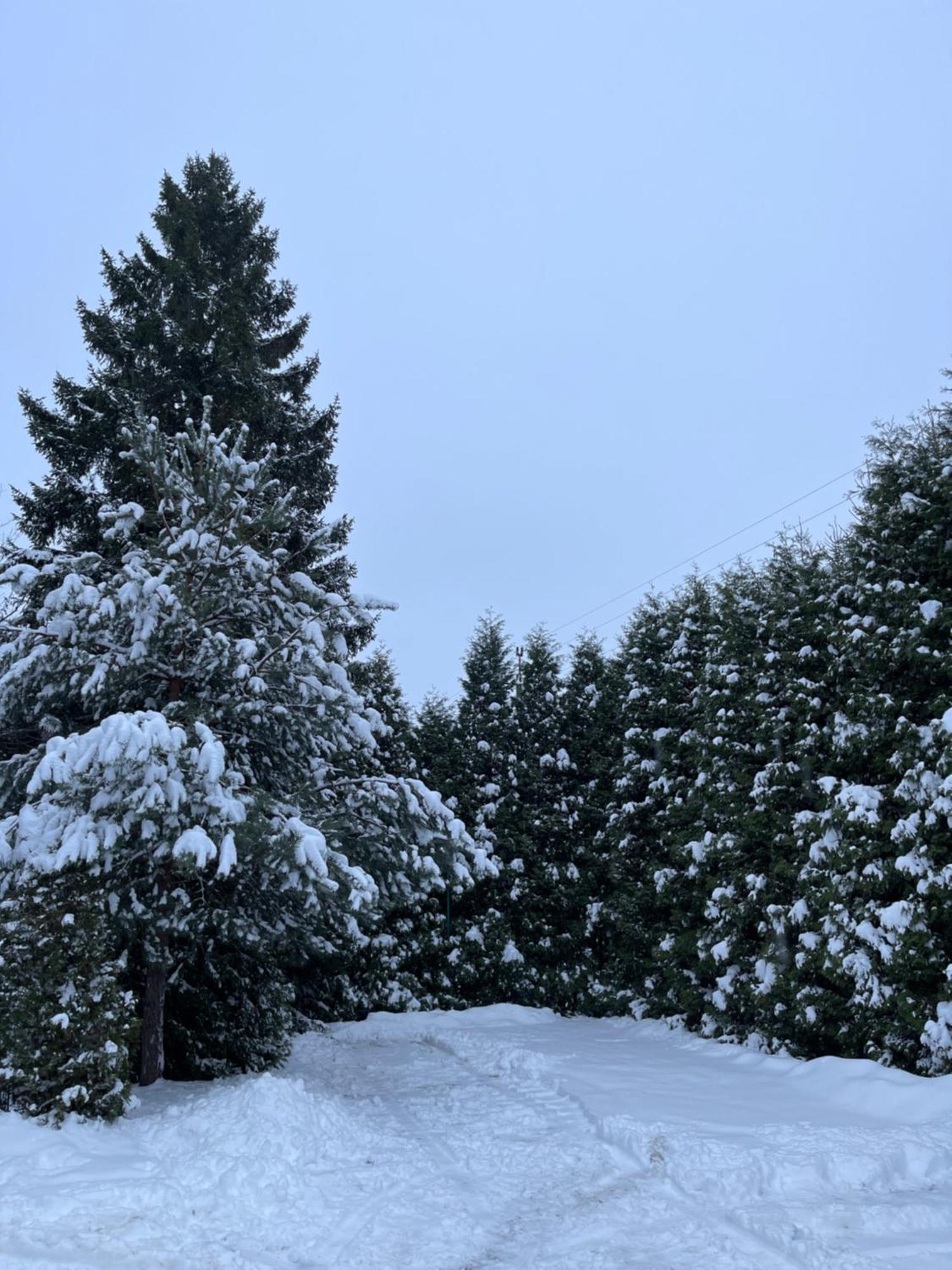 Noclegi-Splywy Bugiem Slawatycze Exterior foto